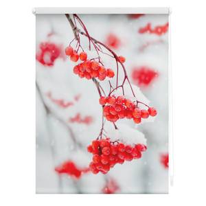 Klemmfix-Rollo Vogelbeeren Polyester - Rot / Weiß - 70 x 150 cm