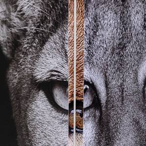 Paravent King Lion vs. Cat Girl Mehrfarbig - Massivholz  / Kunststoff - 120 x 180 cm