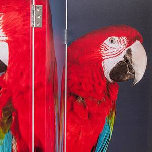 Paravent Twin Parrot vs Cute Colibri Mehrfarbig - Massivholz  / Kunststoff - 120 x 180 cm