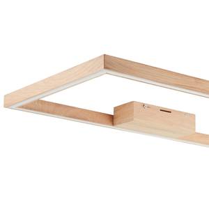 LED-Deckenleuchte Delgrosso ABS - 1-flammig