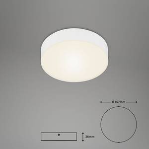 Plafonnier Flame I Polycarbonate / Fer - 1 ampoule - Blanc - Diamètre : 16 cm
