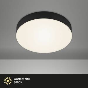 LED-plafondlamp Flame I polycarbonaat/ijzer - 1 lichtbron - Zwart - Diameter: 21 cm