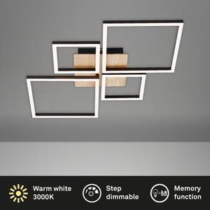 Plafonnier Frame VII Polycarbonate / Fer - 1 ampoule