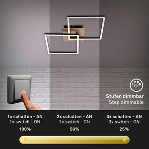 LED-plafondlamp Frame VIII polycarbonaat/ijzer - 1 lichtbron