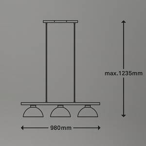 Suspension Pola Fer - 3 ampoules