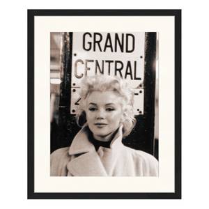 Bild Marilyn Monroe V Buche massiv / Plexiglas - 43 x 53 cm