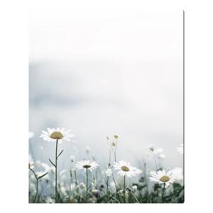 Bild Alpine Meadow Alu-Dibond / Plexiglas - 40 x 50 cm