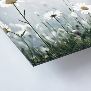 Tableau déco Alpine Meadow Alu-Dibond / Plexiglas - 70 x 90 cm