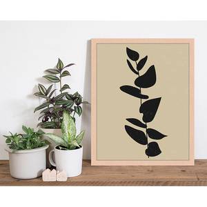 Bild Scandinavian Plant Buche massiv / Plexiglas - 33 x 43 cm