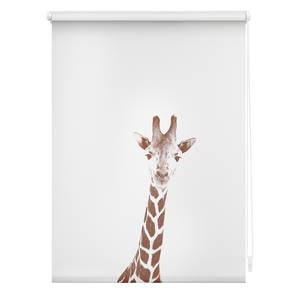 Klemfix rolgordijn Giraf polyester - bruin - 120 x 150 cm