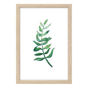 Quadro Olive Twig Materiale plastico / Plexiglas - Verde