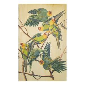 Tableau déco Parrots Bois / Multicolore