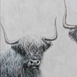 Afbeelding Highland Cows canvas/MDF - grijs