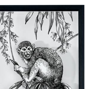 Bild Saimiri Monkey Kunststoff / Plexiglas - Schwarz / Weiß