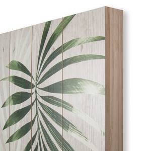 Quadro con cornice Peaceful Palm (2) Abete - Marrone / Verde