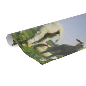 Poster Lamm Polyester PVC - Mehrfarbig