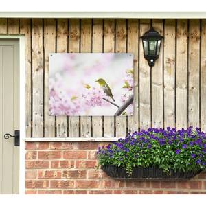 Poster Bloesems polyester PVC - meerdere kleuren