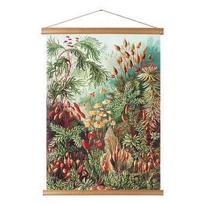 Affiche Forest Tissu - Multicolore