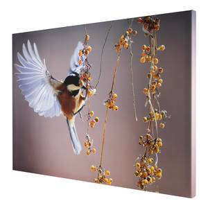 Leinwandbild Bird Leinwand / MDF - Mehrfarbig