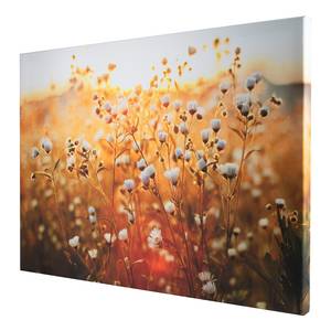 Afbeelding Fieldflower canvas/MDF - meerdere kleuren
