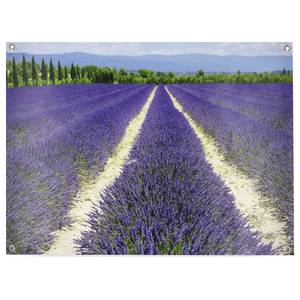 Poster Lavendel polyester PVC - paars