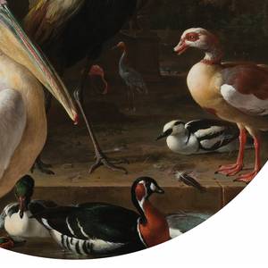 Papier peint Rijksmuseum Birds Intissé - Multicolore