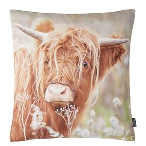 Federa per cuscino Camelot Cotone - Naturale