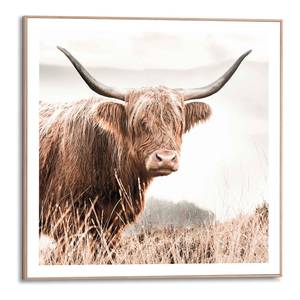 Ingelijste afbeelding Highlander Horens Print in houten frame - bruin