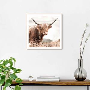 Ingelijste afbeelding Highlander Horens Print in houten frame - bruin