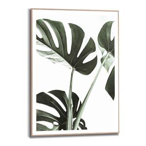 Gerahmtes Bild Monstera Print in Holzrahmen - Grün