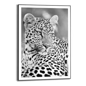 Poster con cornice Leopard Safari Poster con cornice - Nero