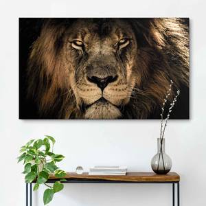 Wandbild Löwe Dschungel Print auf Holz - Braun