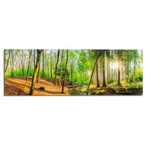 Wandbild Sonniger Wald Print auf Holz - Grün
