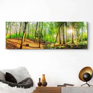 Wandbild Sonniger Wald Print auf Holz - Grün