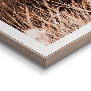 Tableaux déco Nature vierge (2 éléments) Impression dans cadre en bois - Beige