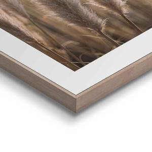 Tableaux déco Nature (2 éléments) Impression dans cadre en bois - Beige