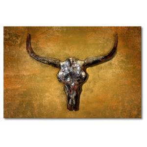 Impression sur toile Texas Buffalo Lin / Épicéa massif - Marron / Noir