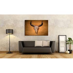 Canvas Bison Skull Tela / Legno massello di abete - Marrone / Beige