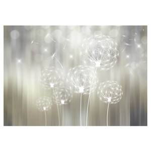 Fototapete Gift of the Sun Premium Vlies - Grau - 150 x 105 cm