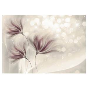 Papier peint Luminous Morning Intissé premium - Beige / Rose - 250 x 175 cm