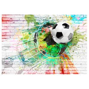 Papier peint Colourful Sport Papier peint en intissé premium - Multicolore - 350 x 245 cm