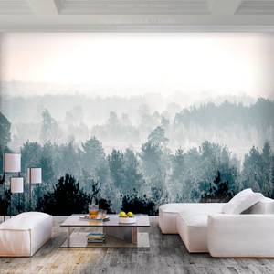 Papier peint Winter Forest Papier peint en intissé premium - Multicolore - 400 x 280 cm