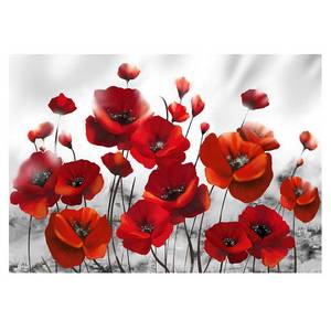 Papier peint Glowing Poppies Intissé premium - Rouge / Blanc - 150 x 105 cm