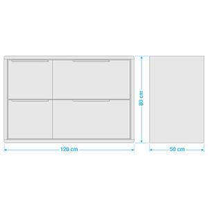 Wastafel TRANGLE met 4 lades massief sheeshamhout