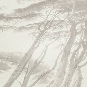 Papier peint en intissé Forêt Vintage Blanc - 0,53 m x 10,05 m - Blanc / Beige