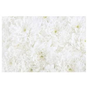 Vliestapete Dahlien Blumenmeer Vliespapier - Weiß - 384 x 255 cm
