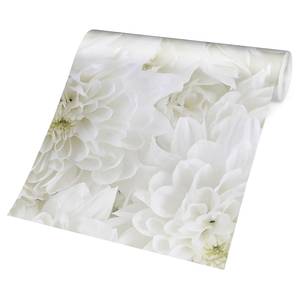 Vliestapete Dahlien Blumenmeer Vliespapier - Weiß - 384 x 255 cm
