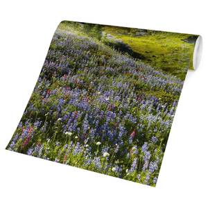 Fotomurale Montagne e fiori Tessuto non tessuto - Verde - 384 x 255 cm
