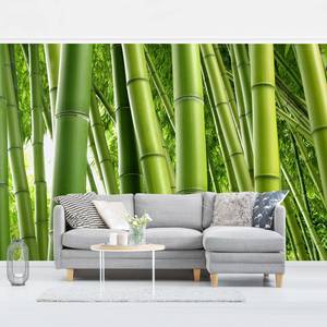 Vliesbehang Bamboo Trees vliespapier - groen - 384 x 255 cm