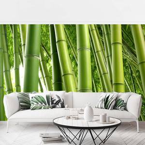Papier peint intissé Bamboo Trees Papier peint - Vert - 384 x 255 cm